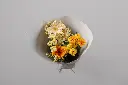 2025-05-24_MMQ-15.webp