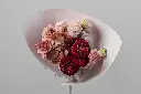 2025-05-24_MMQ-6.webp