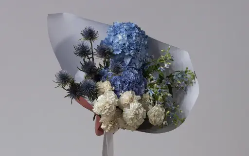 قبلة التوت الأزرق