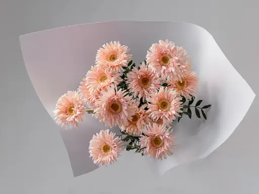 SWEET PEACH EMBRACE